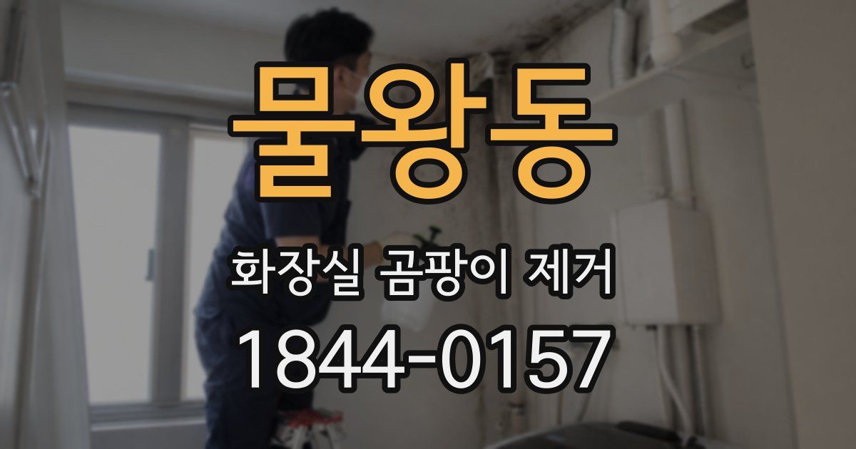 물왕동 화장실 곰팡이 제거