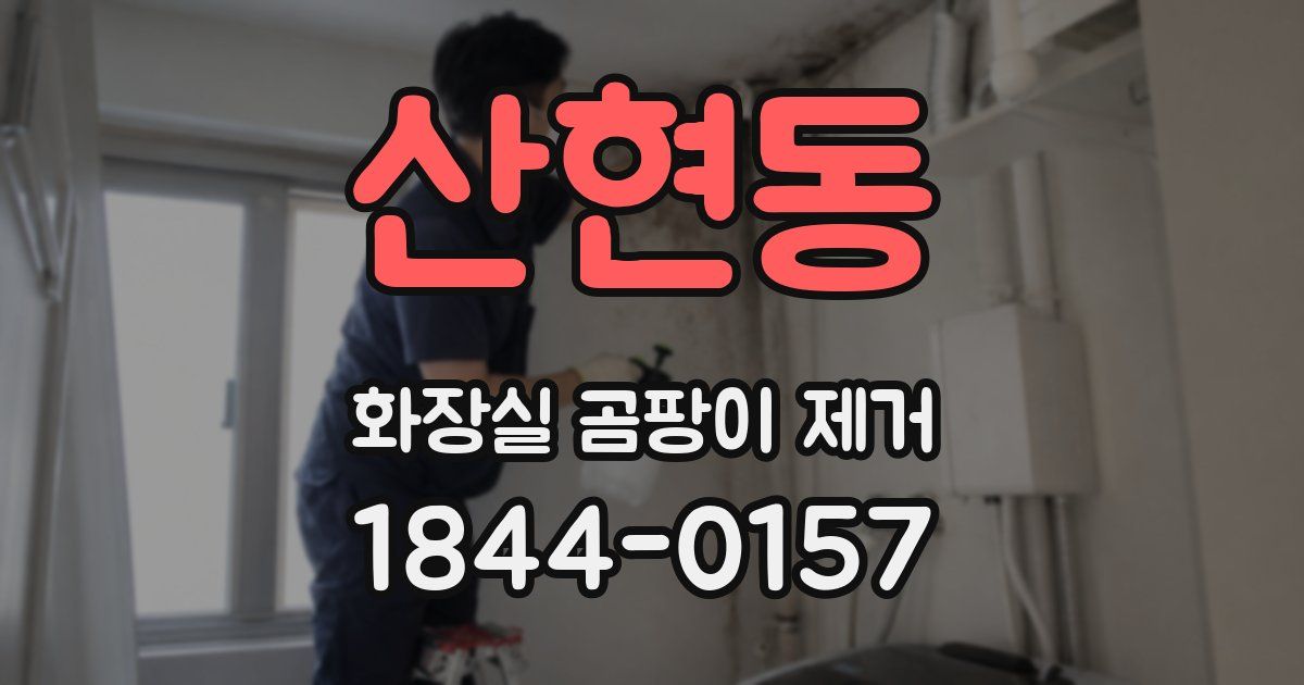 산현동 화장실 곰팡이 제거