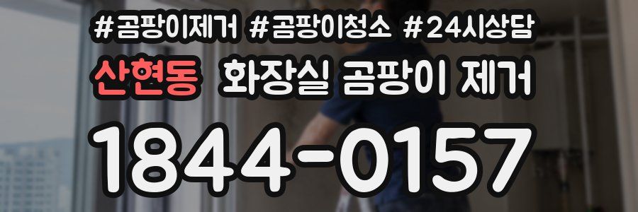 산현동 화장실 곰팡이 제거