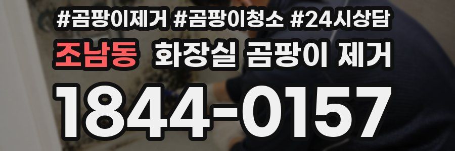 조남동 화장실 곰팡이 제거