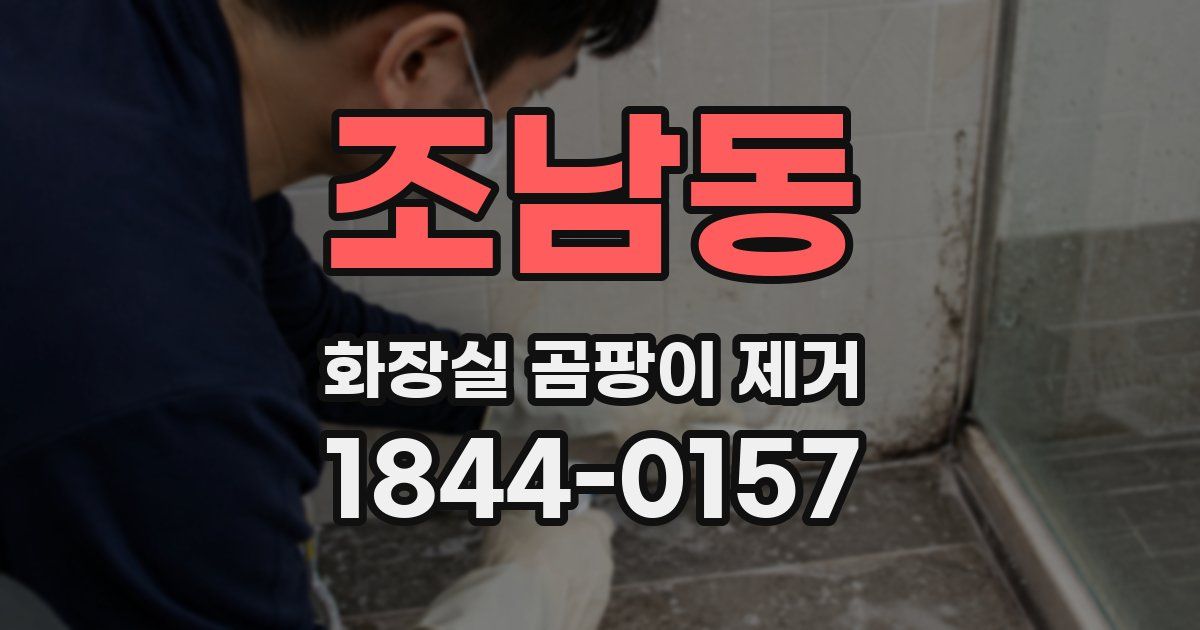조남동 화장실 곰팡이 제거