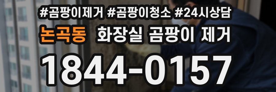 논곡동 화장실 곰팡이 제거