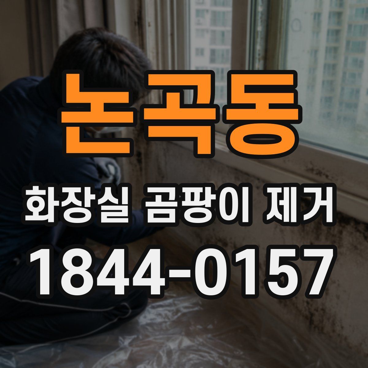 논곡동 화장실 곰팡이 제거