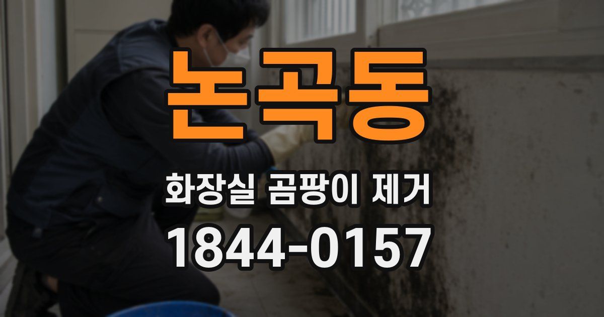 논곡동 화장실 곰팡이 제거