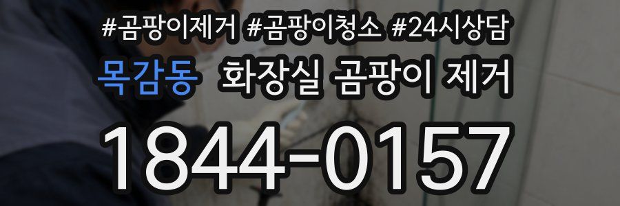 목감동 화장실 곰팡이 제거