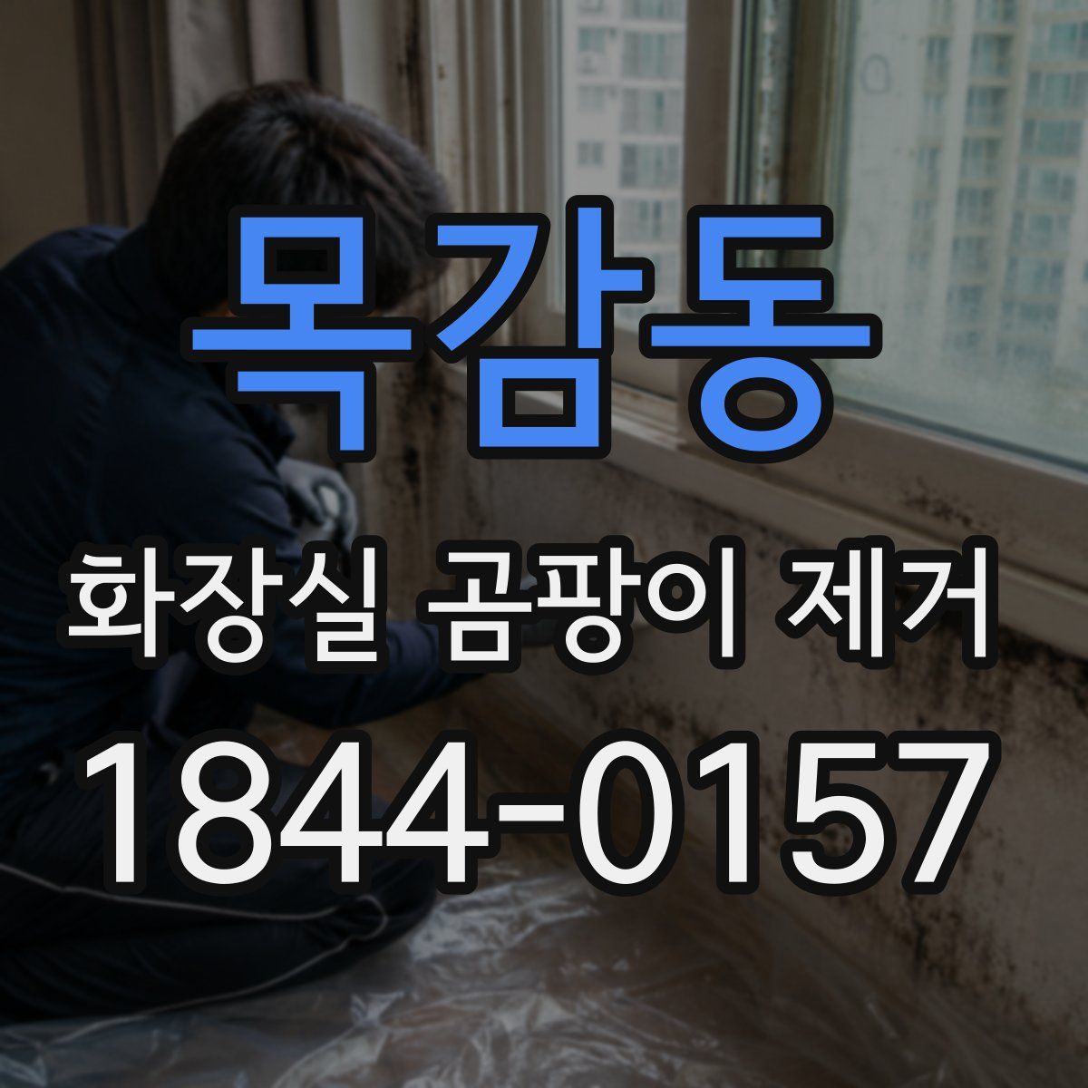 목감동 화장실 곰팡이 제거
