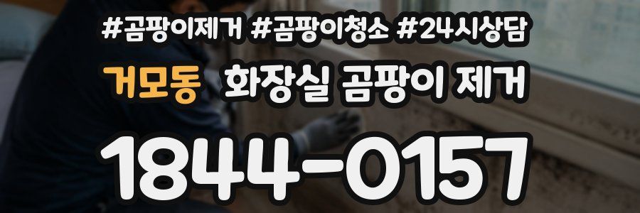거모동 화장실 곰팡이 제거