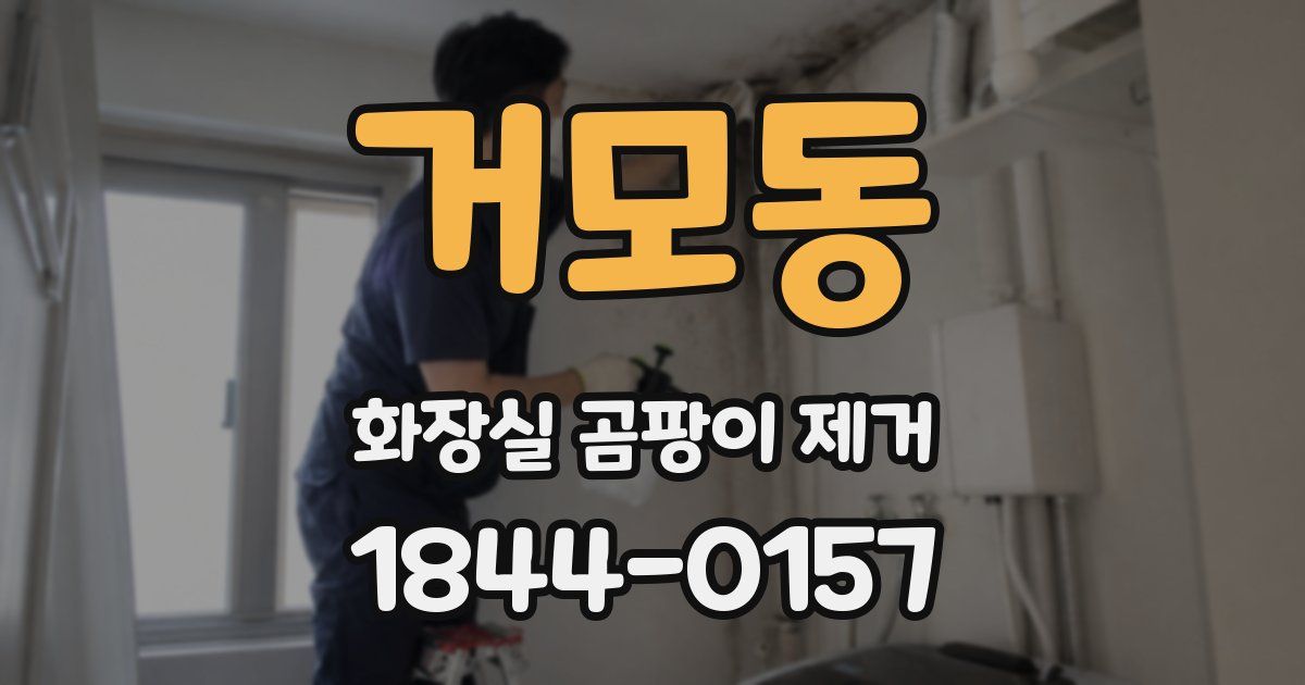 거모동 화장실 곰팡이 제거