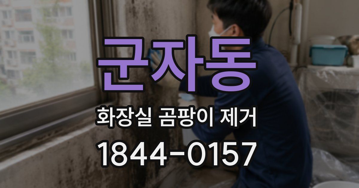군자동 화장실 곰팡이 제거