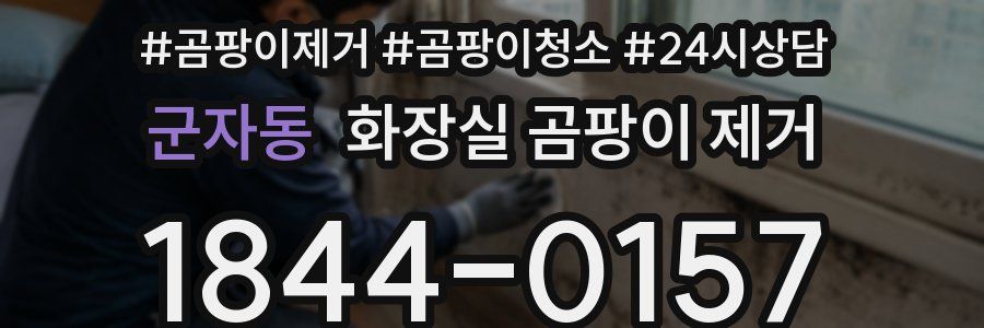 군자동 화장실 곰팡이 제거