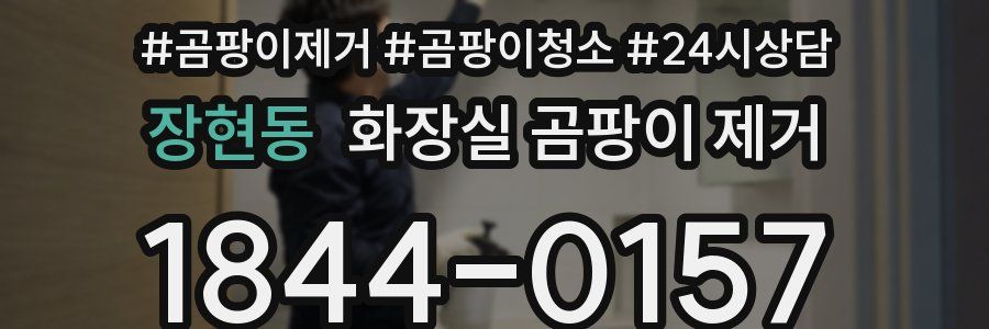 장현동 화장실 곰팡이 제거