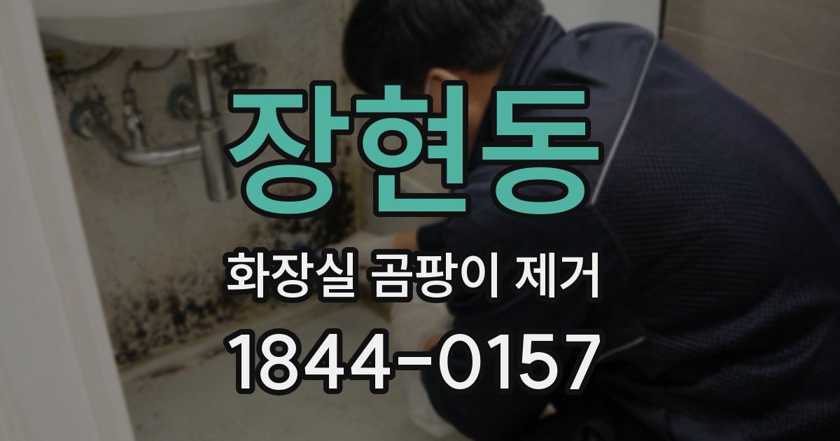 장현동 화장실 곰팡이 제거