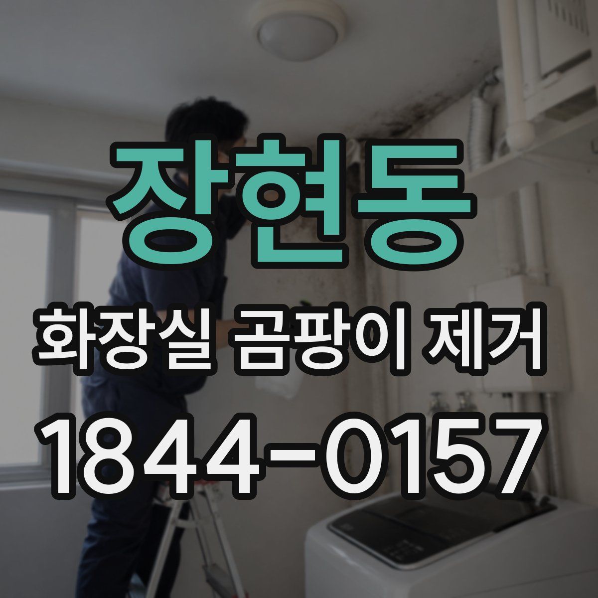 장현동 화장실 곰팡이 제거
