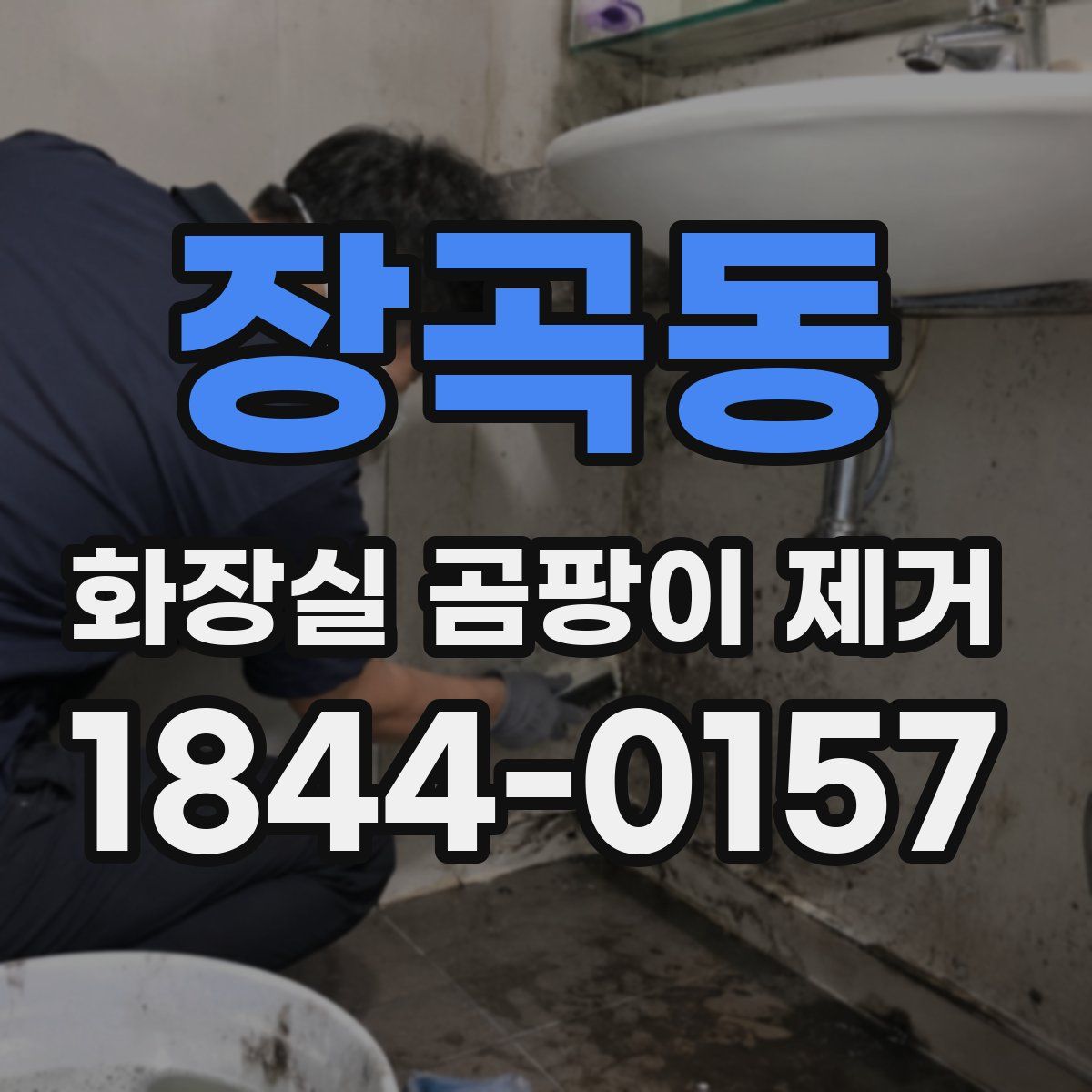 장곡동 화장실 곰팡이 제거