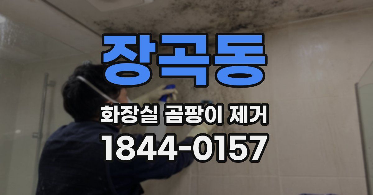 장곡동 화장실 곰팡이 제거