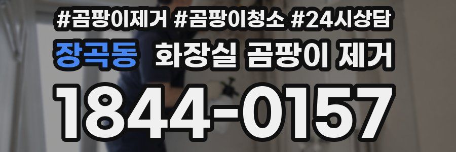 장곡동 화장실 곰팡이 제거