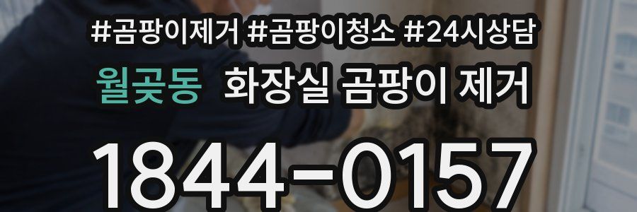 월곶동 화장실 곰팡이 제거