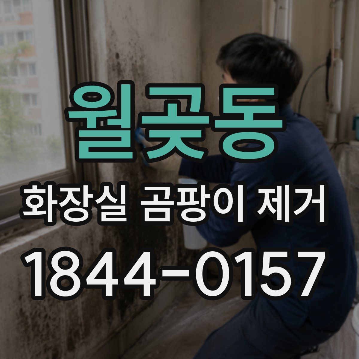 월곶동 화장실 곰팡이 제거