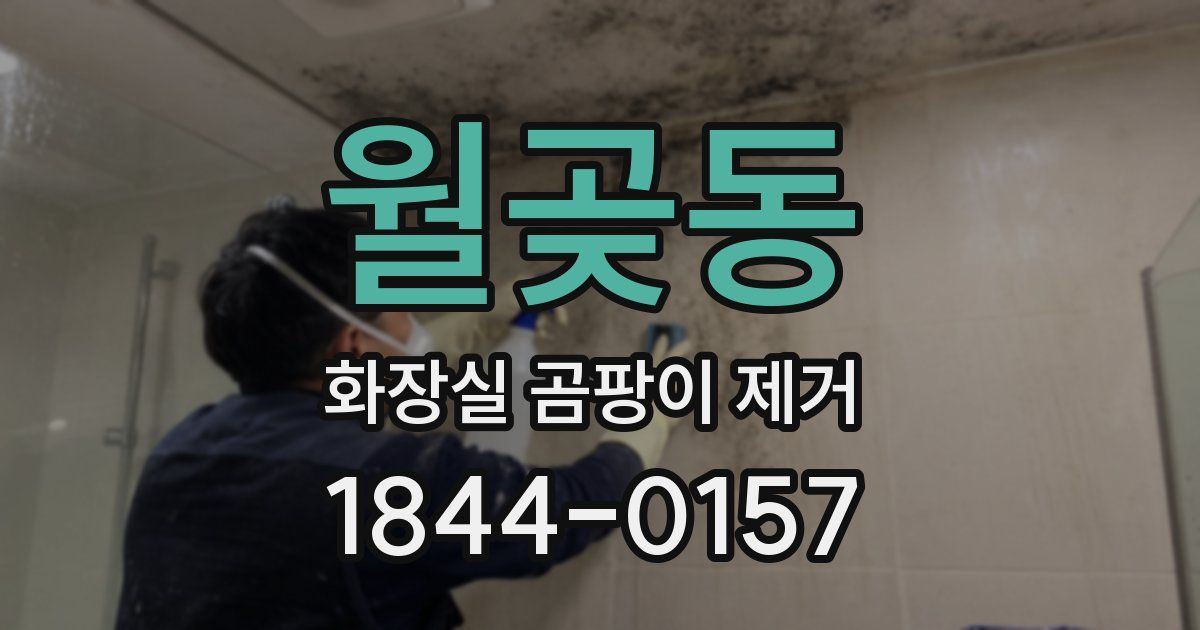 월곶동 화장실 곰팡이 제거