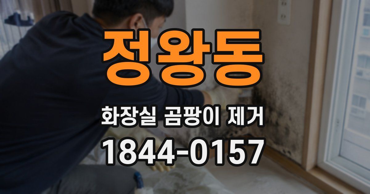 정왕동 화장실 곰팡이 제거