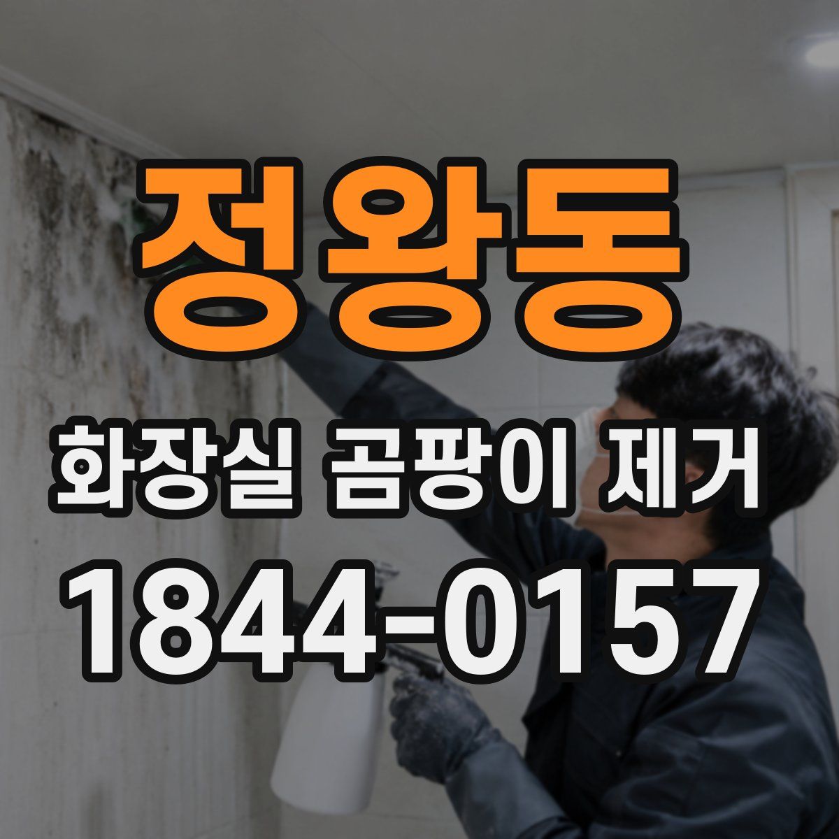 정왕동 화장실 곰팡이 제거