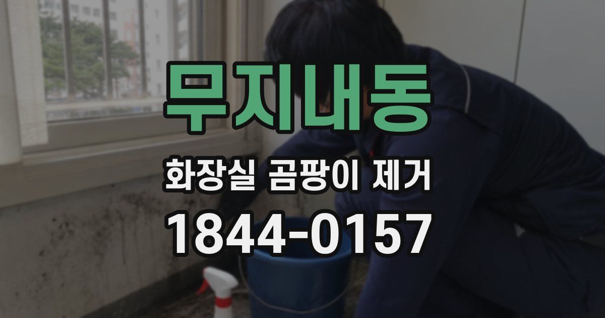 무지내동 화장실 곰팡이 제거