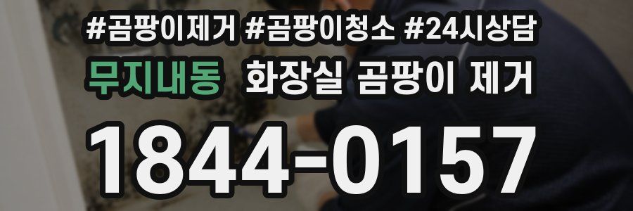 무지내동 화장실 곰팡이 제거