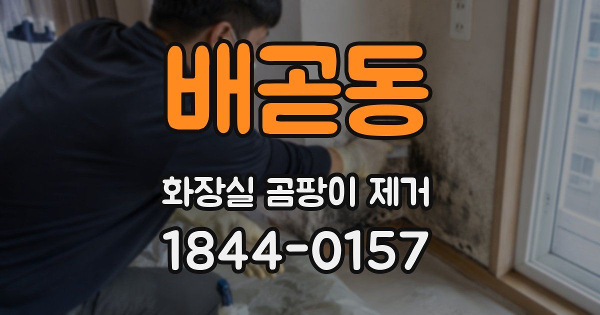 배곧동 화장실 곰팡이 제거