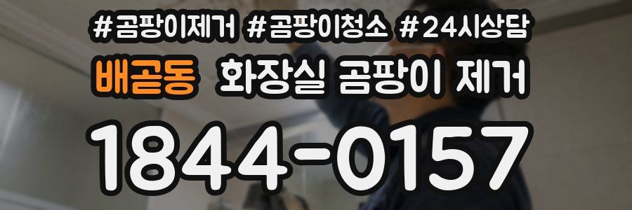 배곧동 화장실 곰팡이 제거