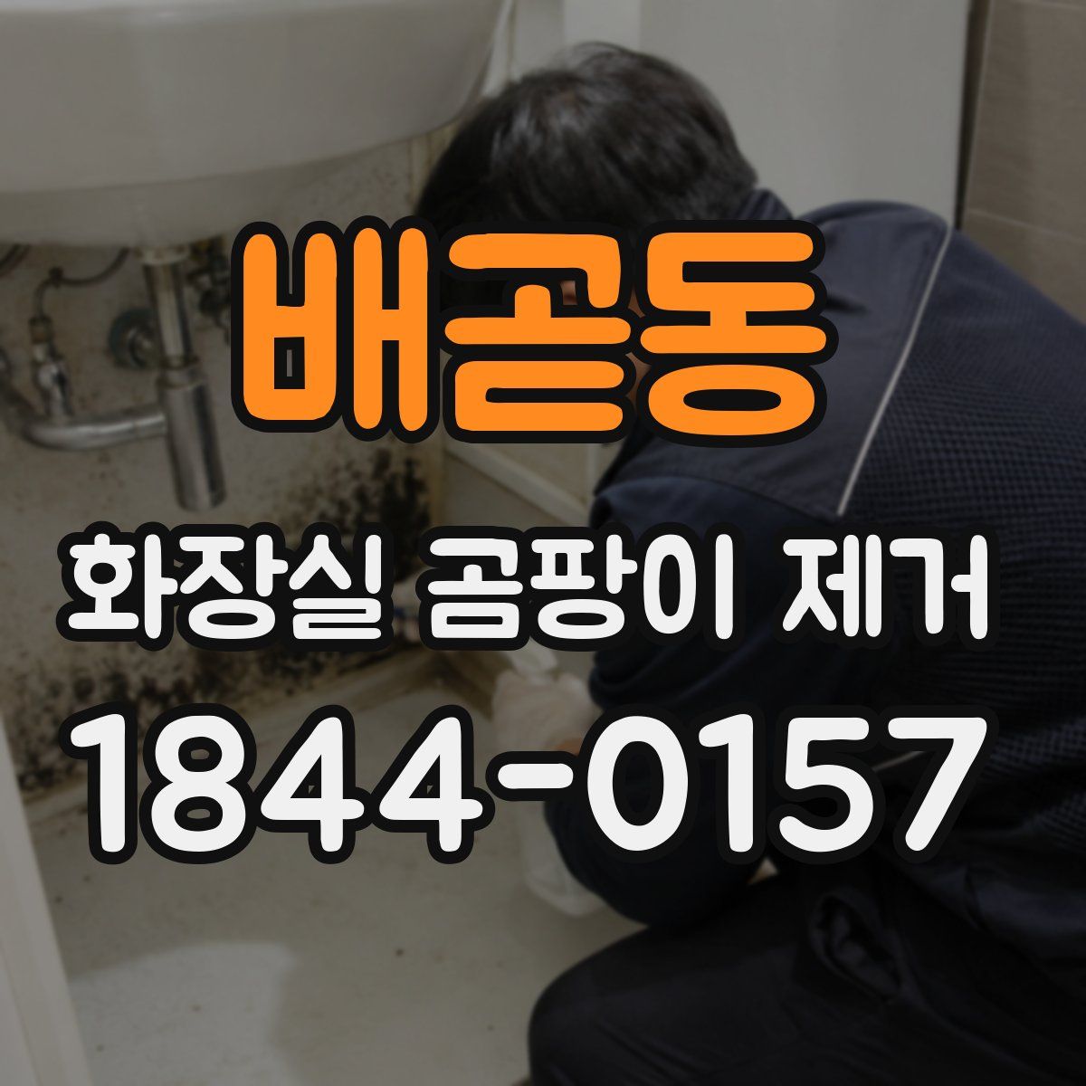 배곧동 화장실 곰팡이 제거