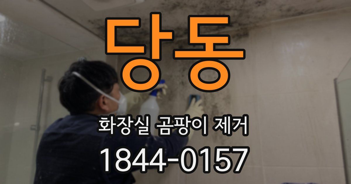 당동 화장실 곰팡이 제거