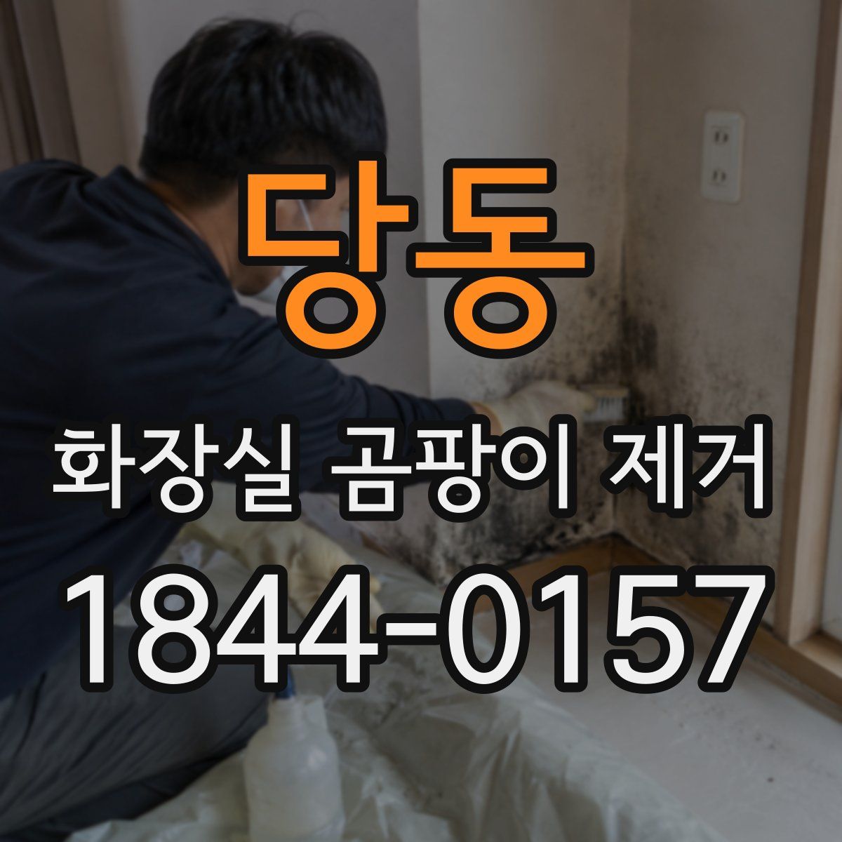 당동 화장실 곰팡이 제거