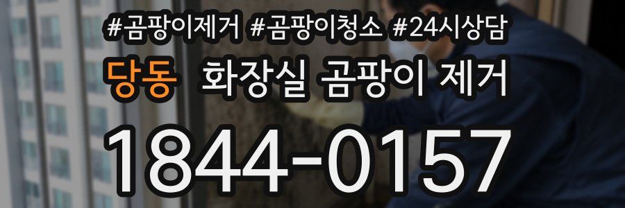 당동 화장실 곰팡이 제거