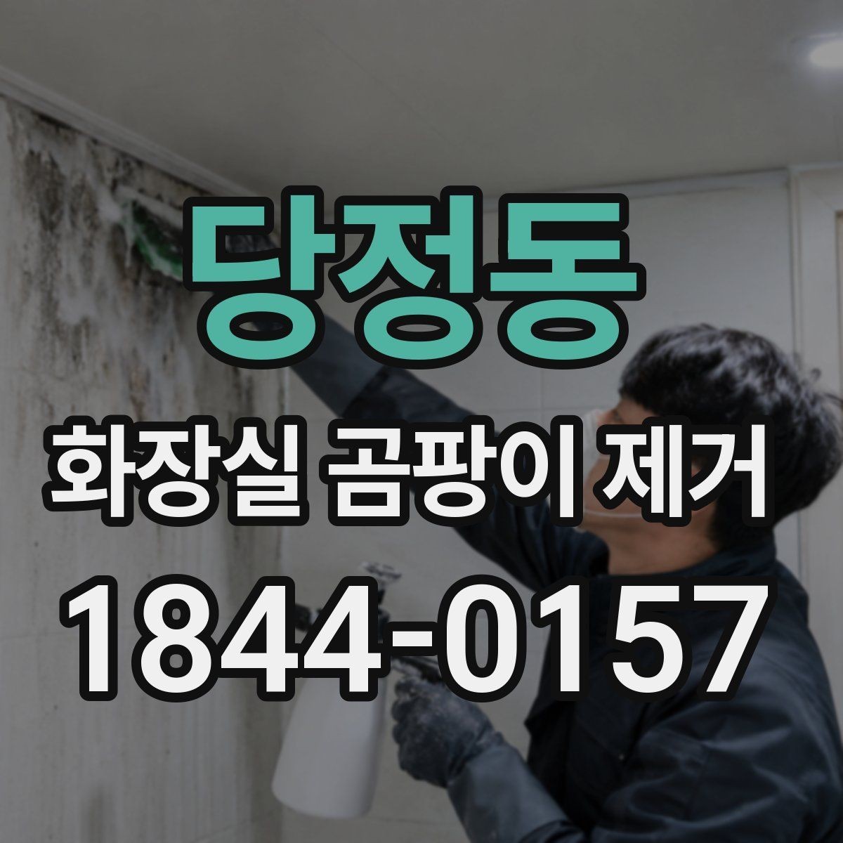 당정동 화장실 곰팡이 제거 뒤 방수층 이상을 의심해야 하는 신호