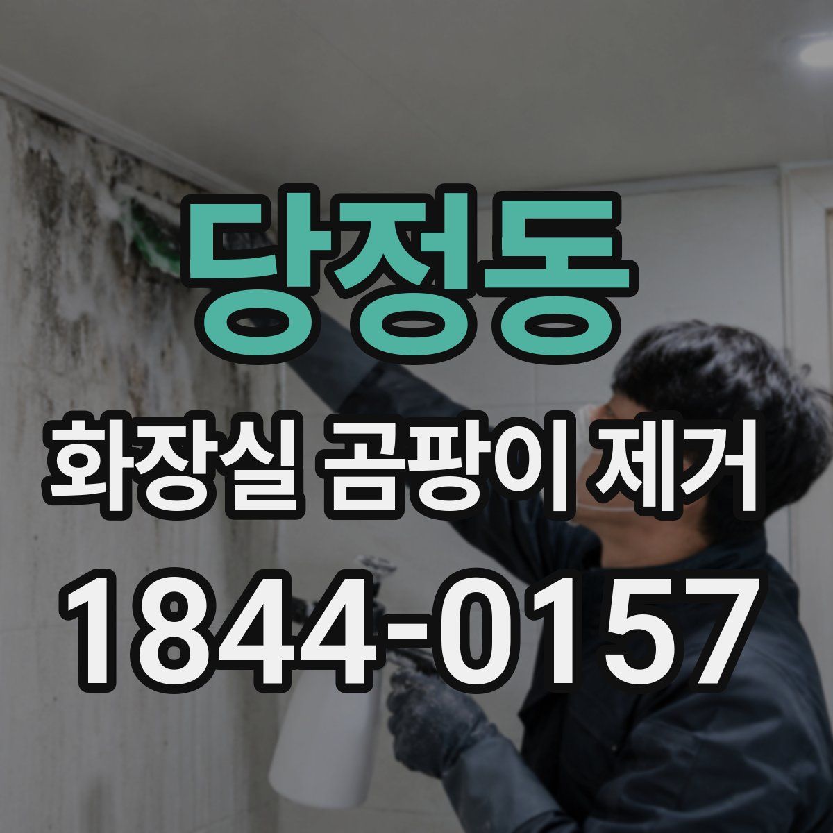 당정동 화장실 곰팡이 제거