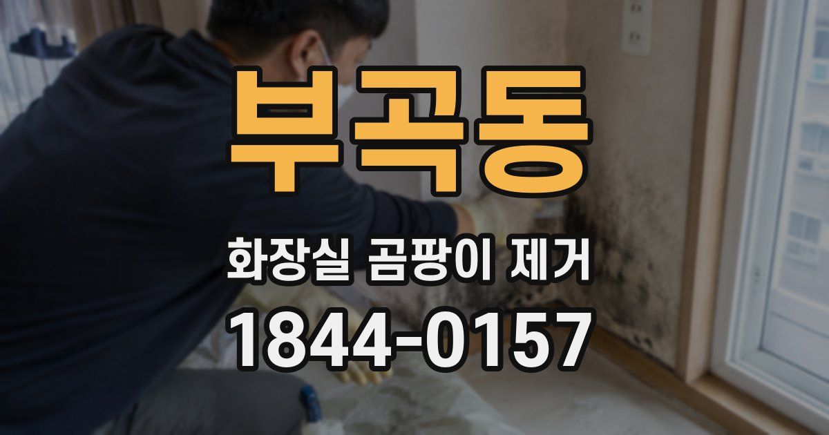 부곡동 화장실 곰팡이 제거