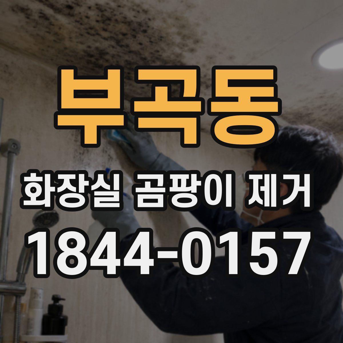 부곡동 화장실 곰팡이 제거