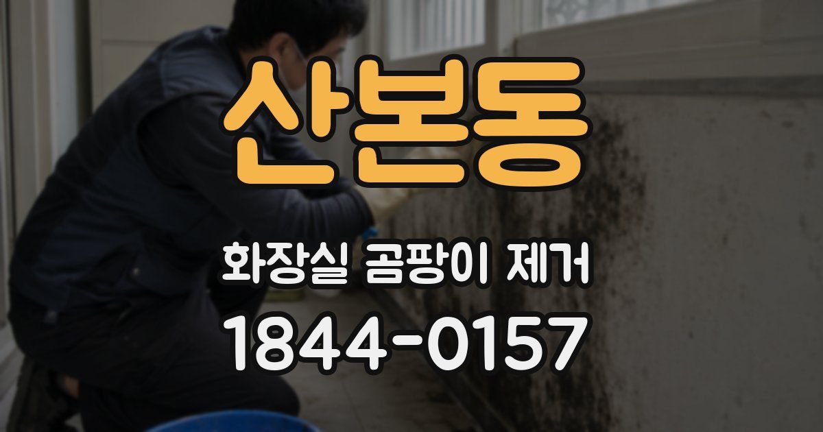 산본동 화장실 곰팡이 제거