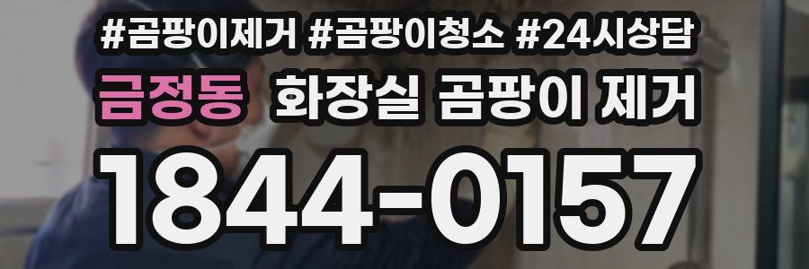 금정동 화장실 곰팡이 제거