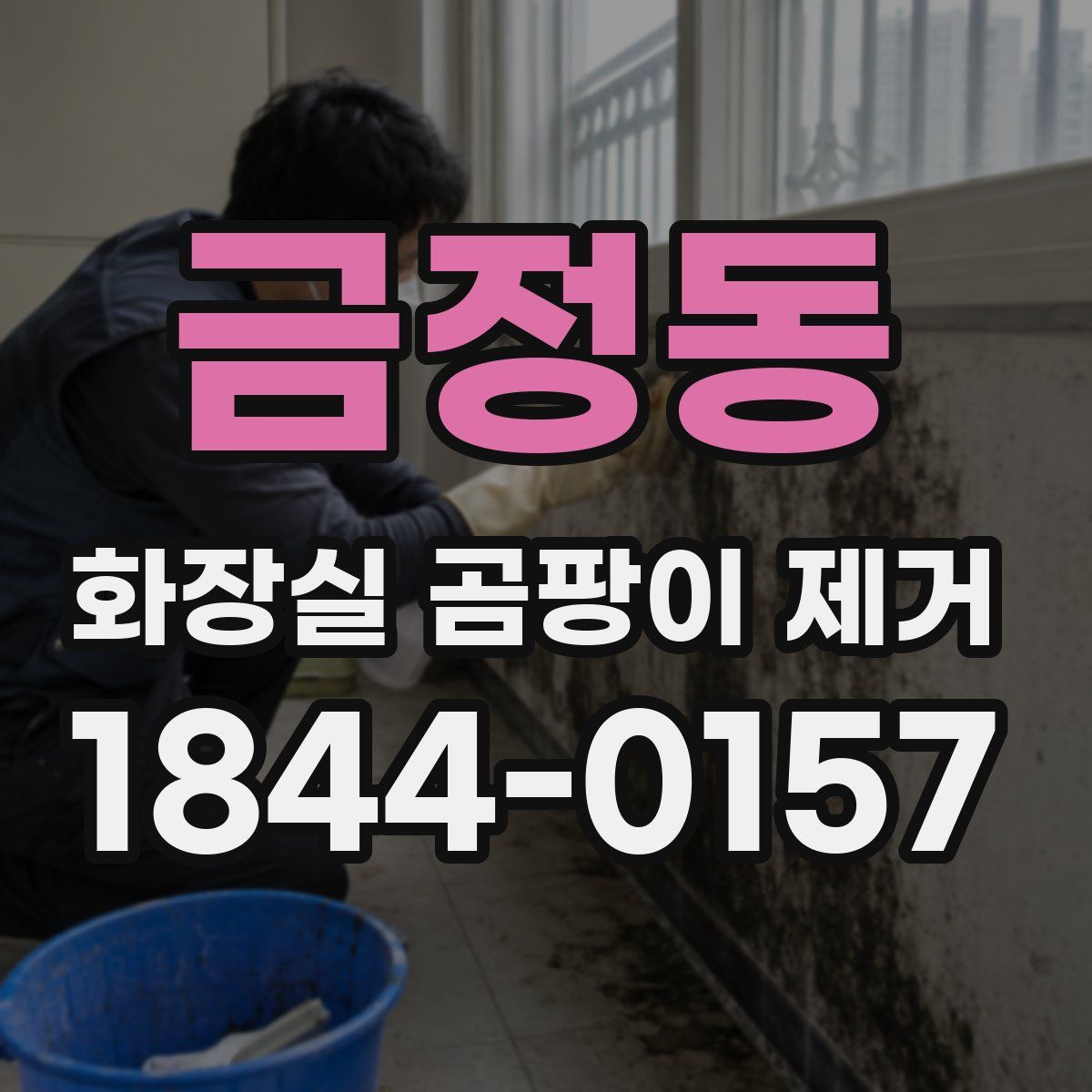 금정동 화장실 곰팡이 제거