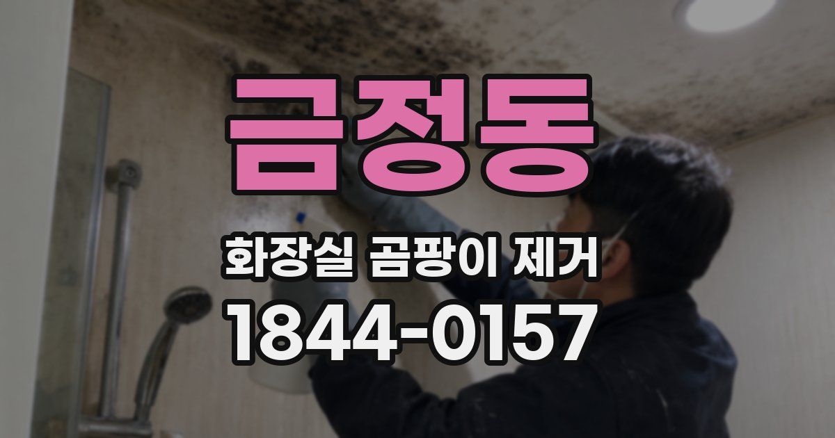 금정동 화장실 곰팡이 제거