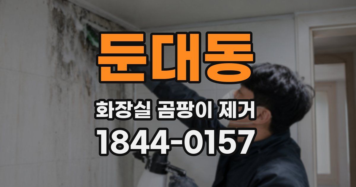 둔대동 화장실 곰팡이 제거