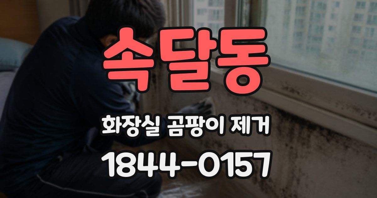 속달동 화장실 곰팡이 제거