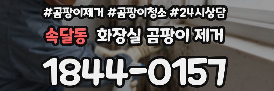 속달동 화장실 곰팡이 제거