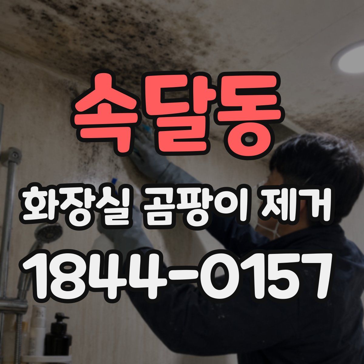 속달동 화장실 곰팡이 제거