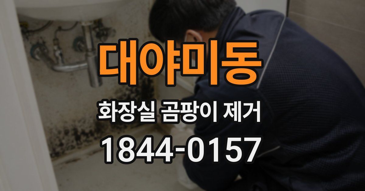 대야미동 화장실 곰팡이 제거