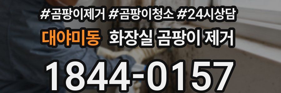 대야미동 화장실 곰팡이 제거