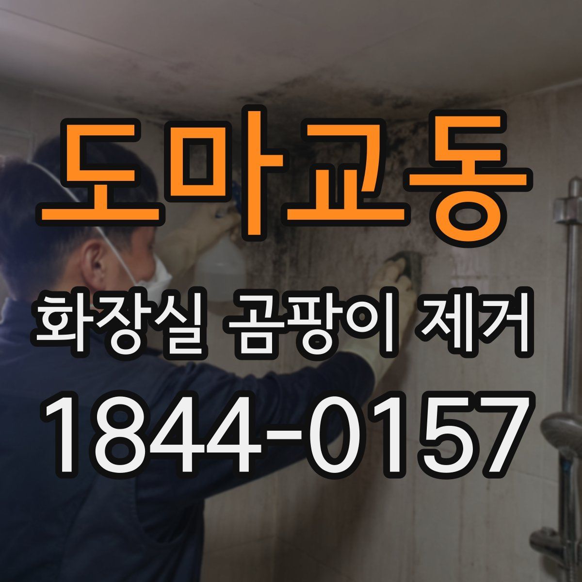 도마교동 화장실 곰팡이 제거