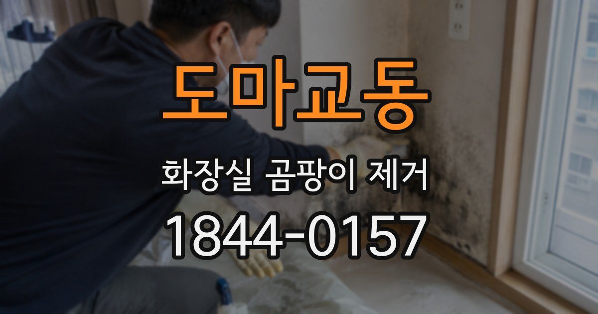 도마교동 화장실 곰팡이 제거