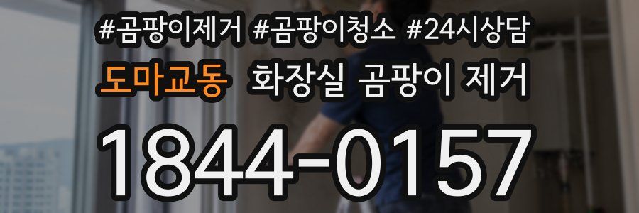 도마교동 화장실 곰팡이 제거